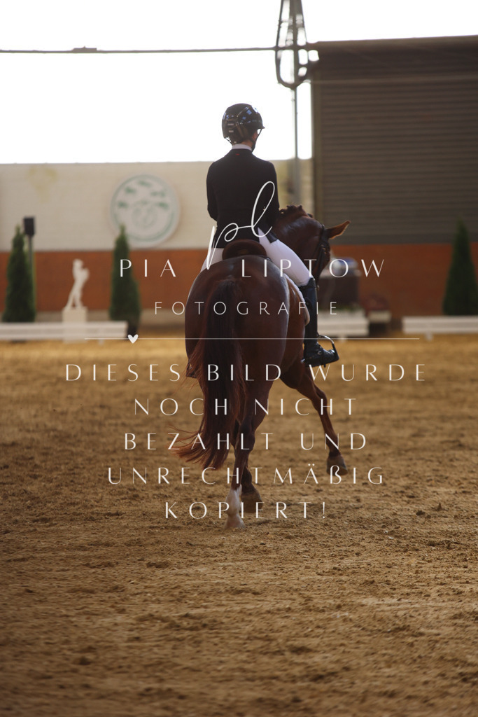 IMGT9951 | pl-fotografie