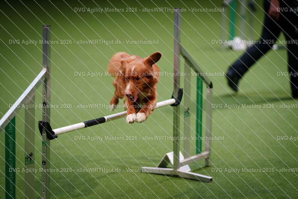 allesWIRTHgut_Tierfotografie-DVG_Agility_Masters_2026-15_51-7R502971 | Professionelle Tierfotografie in Mönchengladbach von Daniel Wirth (allesWIRTHgut). Liebevolle & natürliche Bilder von Hunden & Katzen für unvergessliche Erinnerungen.
