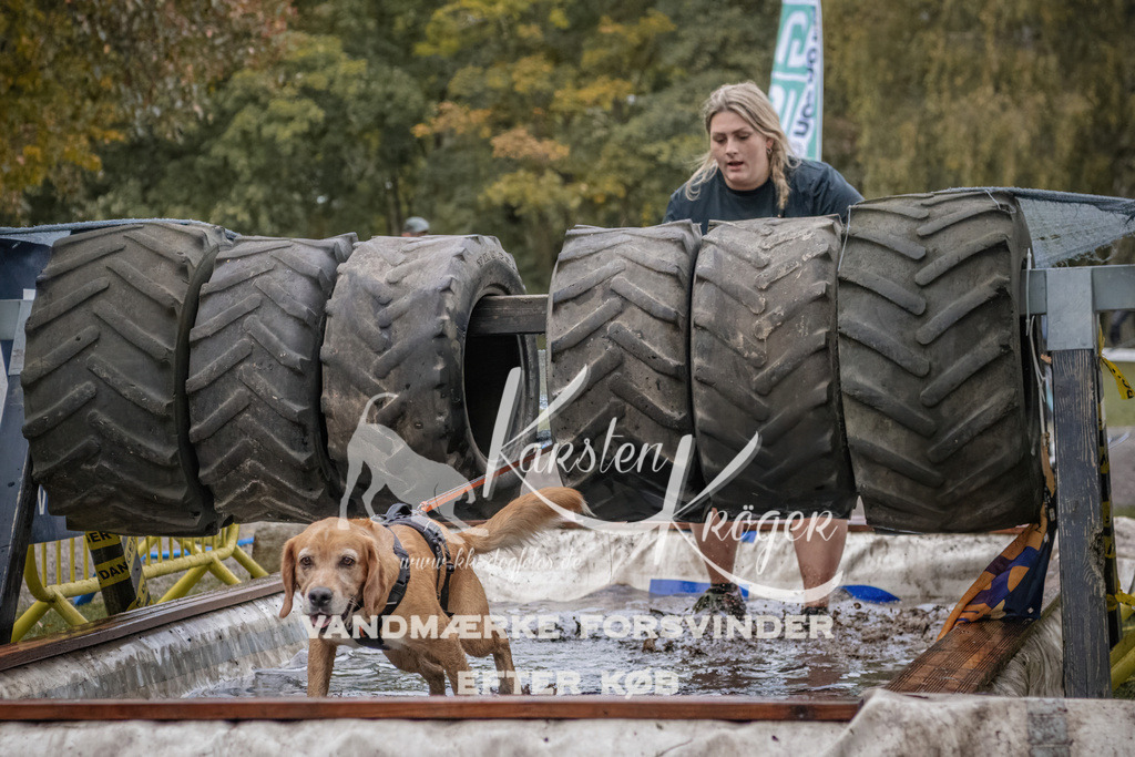 1705_ZZ94872 | kk-dogfotos