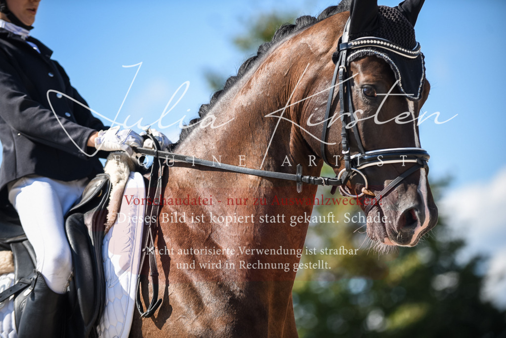 DSC_9590 | Pferde- und Turnierfotografie in Westsachsen. Pferdeportraits, Auftragszeichnungen und intuitive Kunst.
