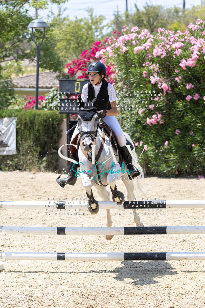 IMG_1191 | s-jay-photography - Realisiert mit Pictrs.com