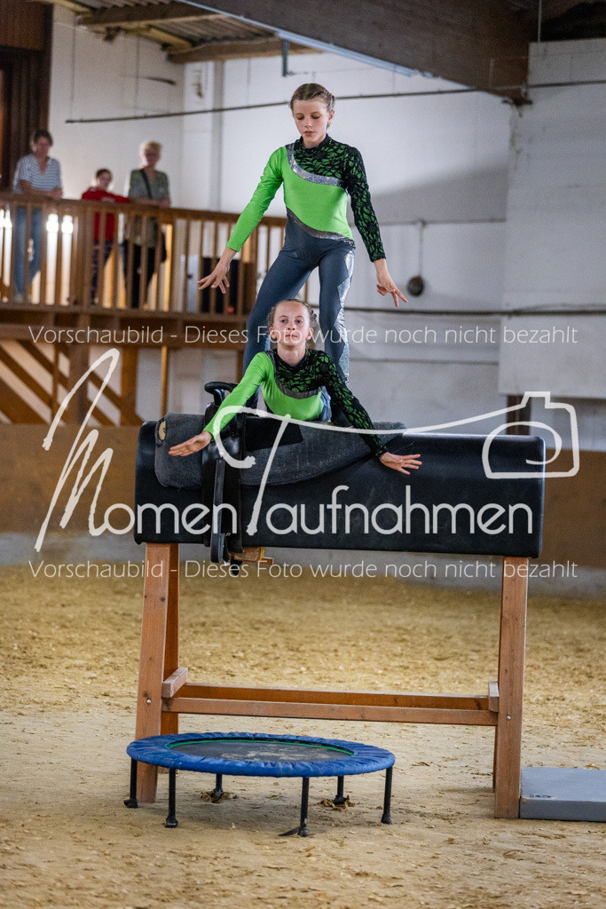 Holzpferd-005 | MomenTaufnahmen Pferdesportfotos