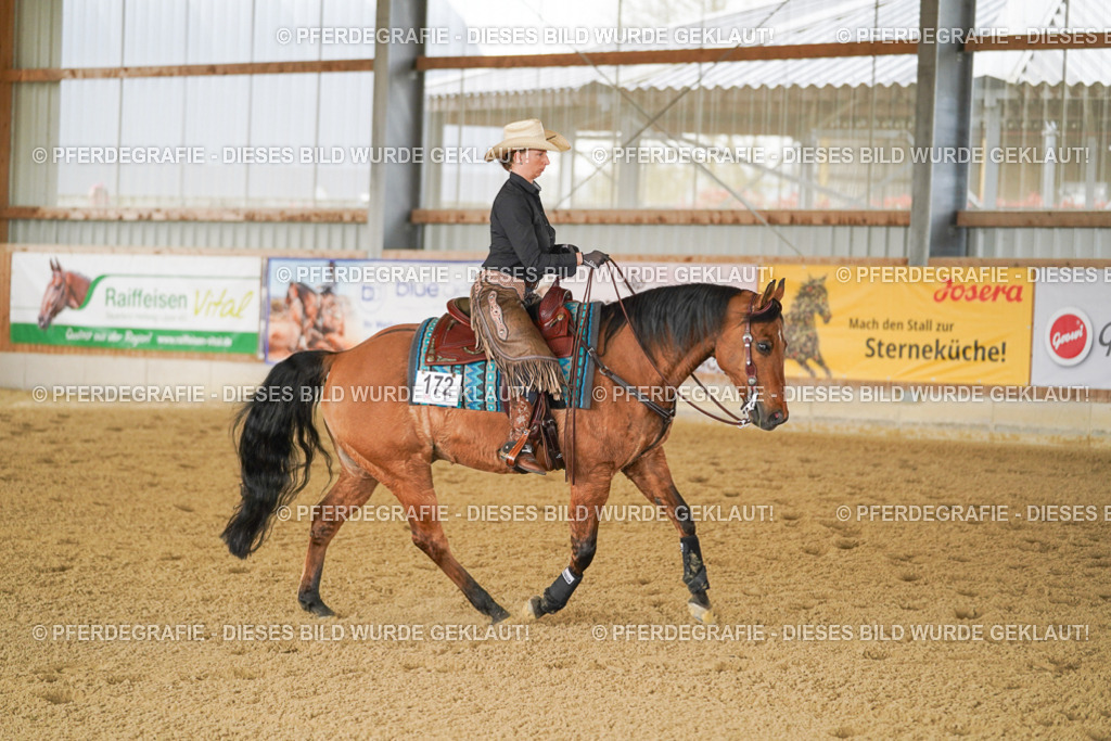 DSC03022 | Pferdegrafie