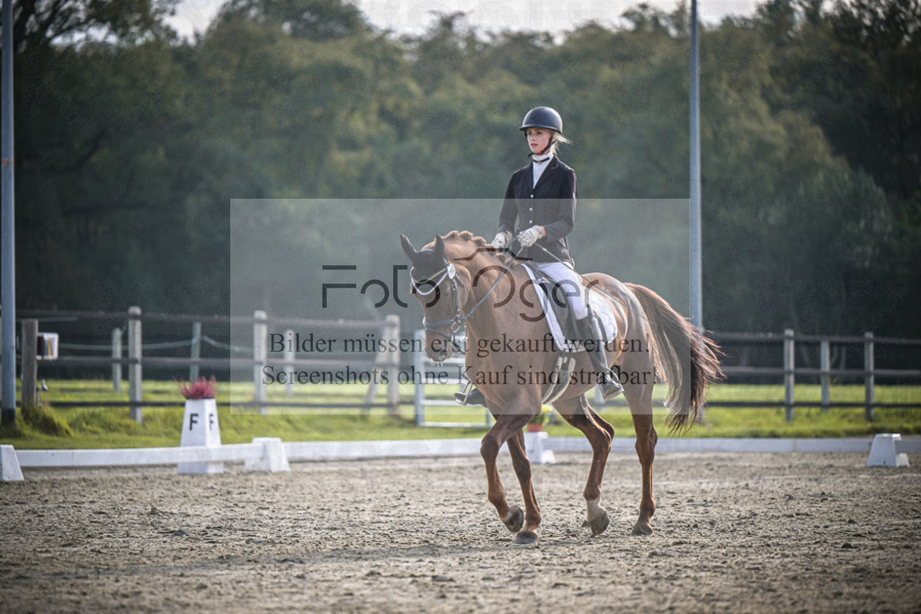 DOS_B119 | Entdecke hochwertige Reitturnierfotos von Foto Oger. Professionell, emotional und authentisch – jetzt Lieblingsmomente im Shop bestellen.Deutschlandweite Turnierfotografie. - Realisiert mit Pictrs.com