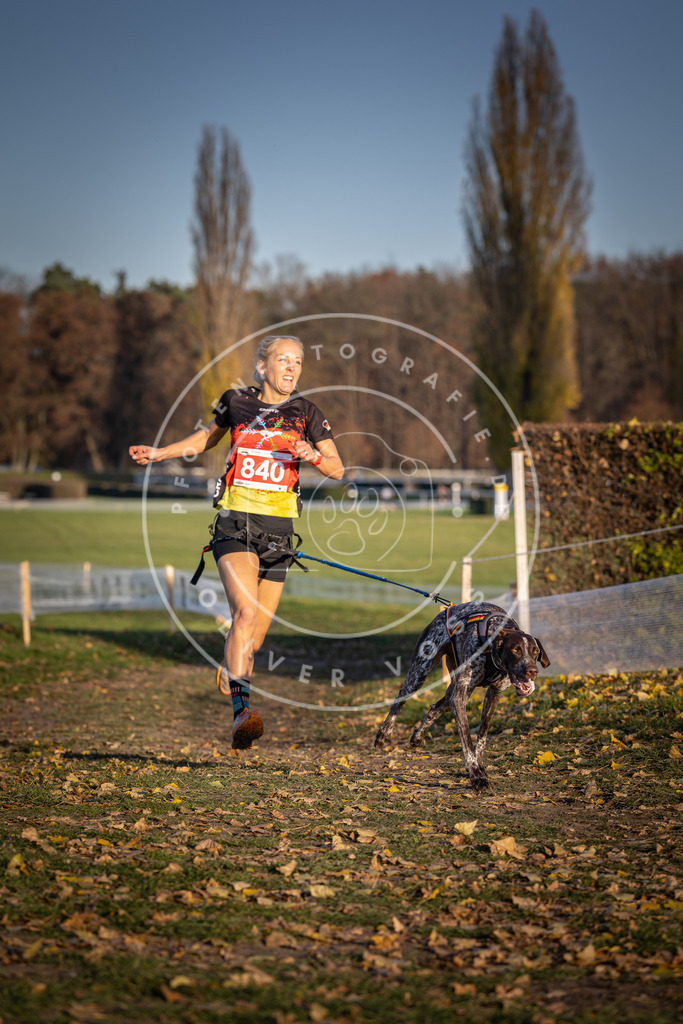 CaniXpix_DV3A3633 | Hundefotografie, Tierfotograf, Pfotenfotografie, Fotoshooting Hund, Hunde Portrait, Hundesport, Hundeportraits, Heideshooting, Hunde, Sportfotograf, Hundefotograf, Turnierhundsport, THS,  - Realisiert mit Pictrs.com