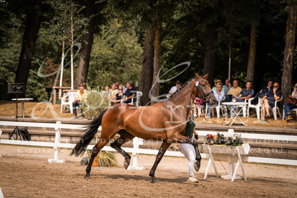 3.Fr00117 | Leoni Ertmer Photography - Realisiert mit Pictrs.com