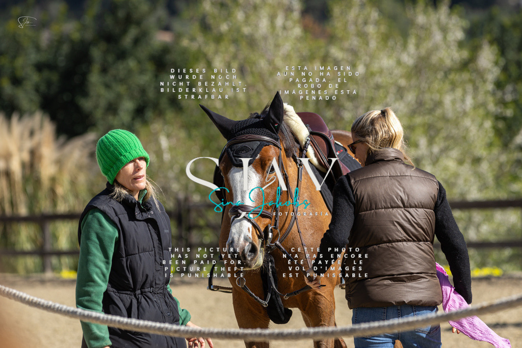 IMG_6338 | s-jay-photography - Realisiert mit Pictrs.com