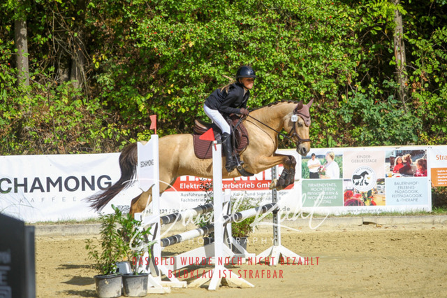 DKP42327 | Turniersportfotografie; Pferdefotografie; Dressurfotografie