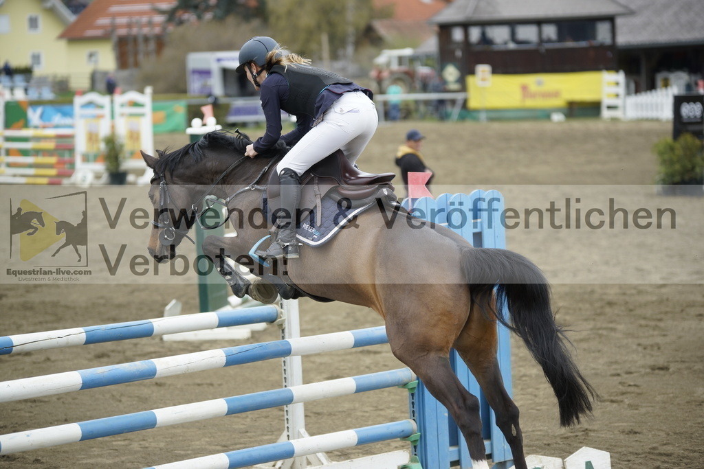 _DSC7260 | equestrian-live-com