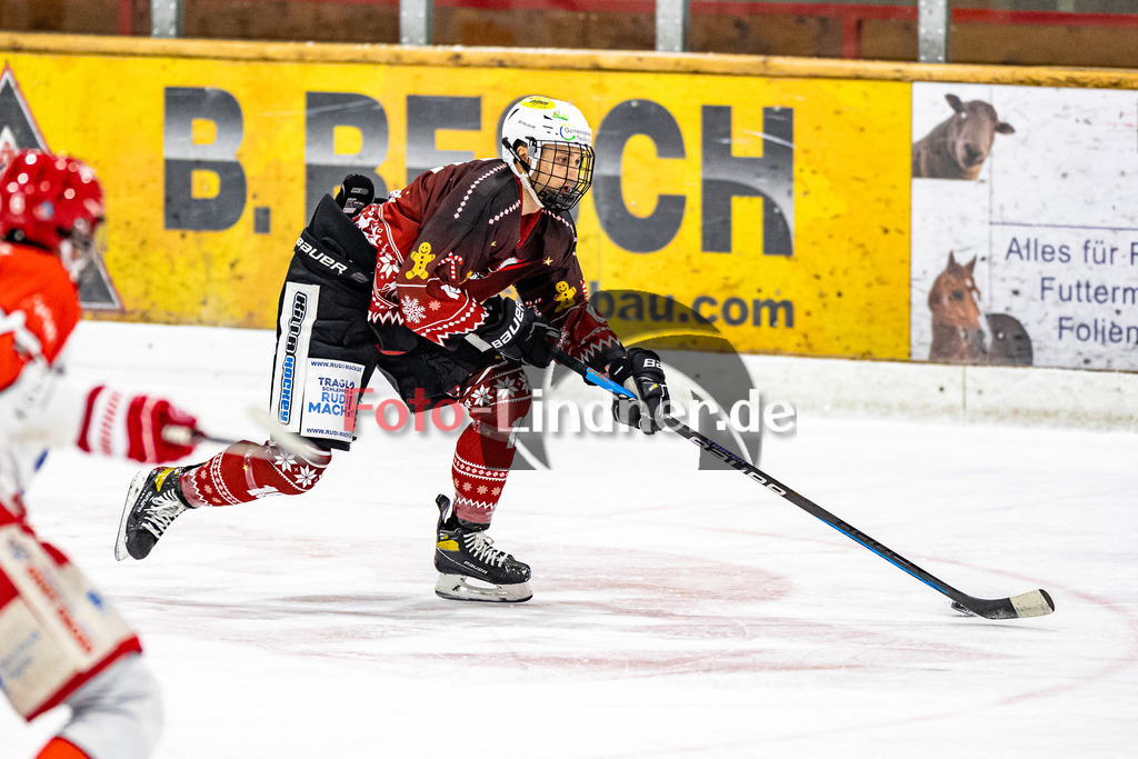 C1DX8266 | Shop für Sportfotografie, Bilddatenbank, Pressefotografie, Fußball, Eishockey, Aktionsfotos
