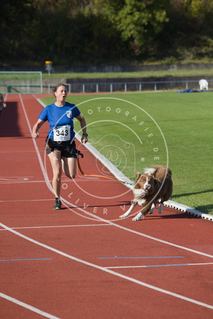 0L8A9261 | Hundefotografie, Tierfotograf, Pfotenfotografie, Fotoshooting Hund, Hunde Portrait, Hundesport, Hundeportraits, Heideshooting, Hunde, Sportfotograf, Hundefotograf, Turnierhundsport, THS,  - Realisiert mit Pictrs.com