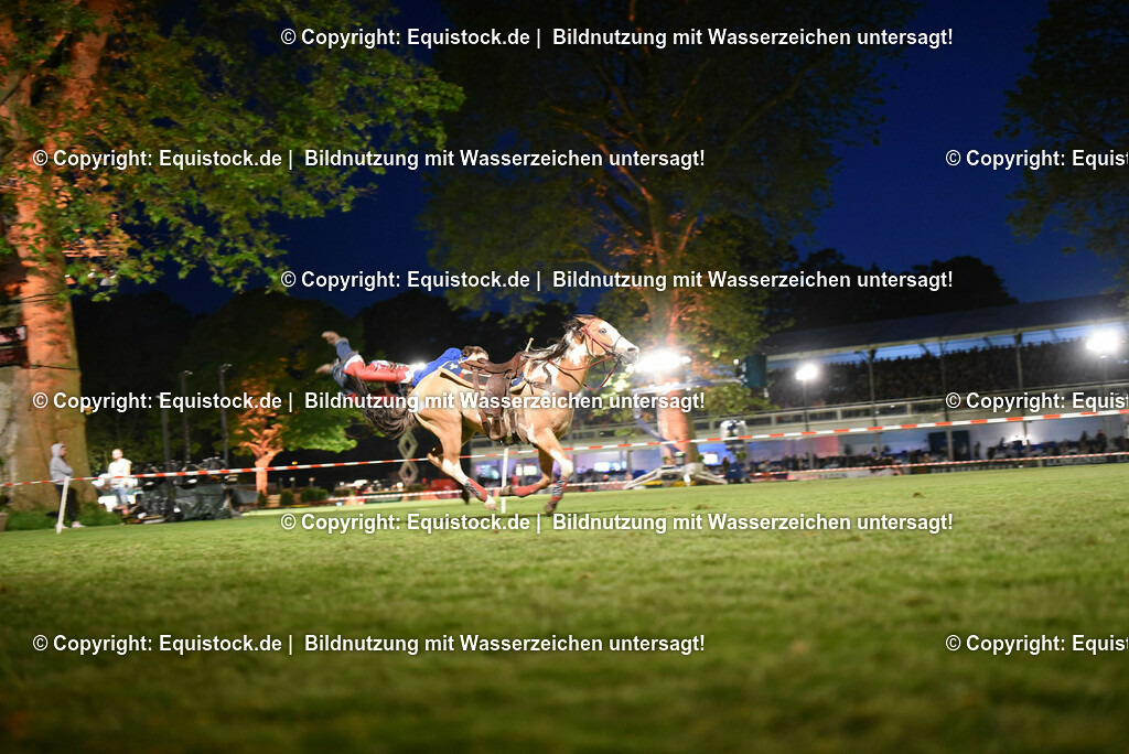 20230526_Pferdenacht_1337 | equistock