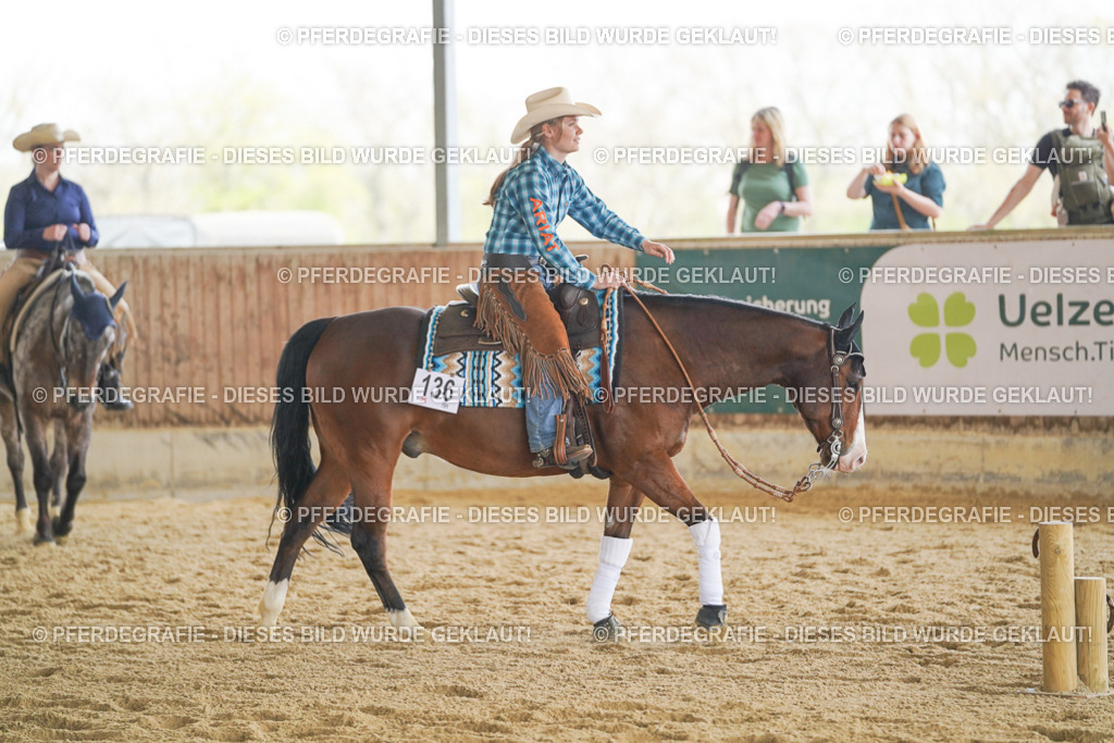 DSC02792 | Pferdegrafie