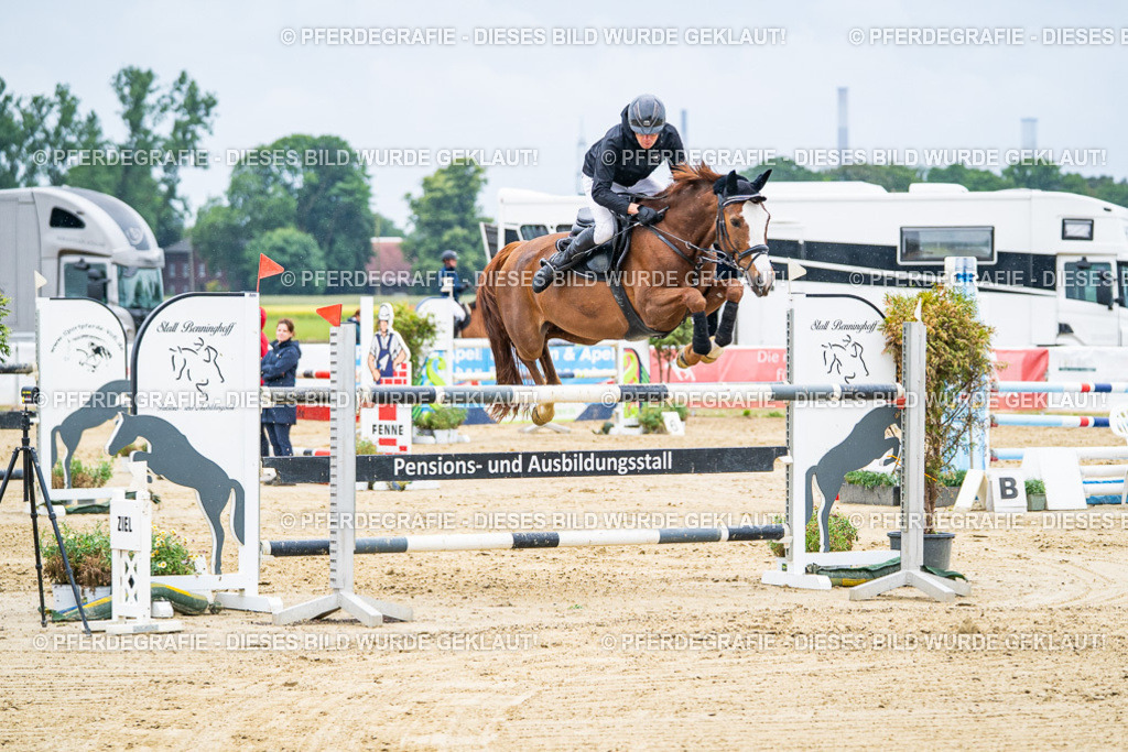 DSC09424 | Pferdegrafie