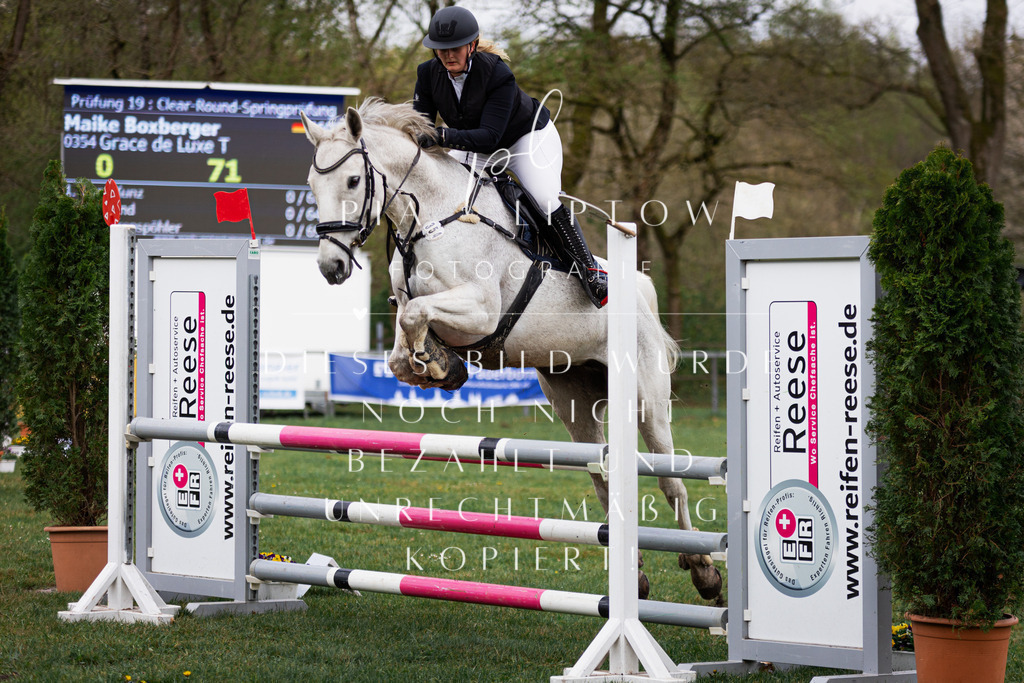 IMGT3007 | pl-fotografie