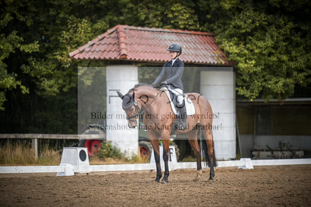 DOS_1540 | Entdecke hochwertige Reitturnierfotos von Foto Oger. Professionell, emotional und authentisch – jetzt Lieblingsmomente im Shop bestellen.Deutschlandweite Turnierfotografie. - Realisiert mit Pictrs.com