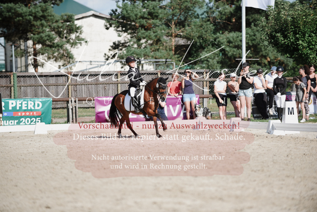 DSC_0154 | Pferde- und Turnierfotografie in Westsachsen. Pferdeportraits, Auftragszeichnungen und intuitive Kunst.