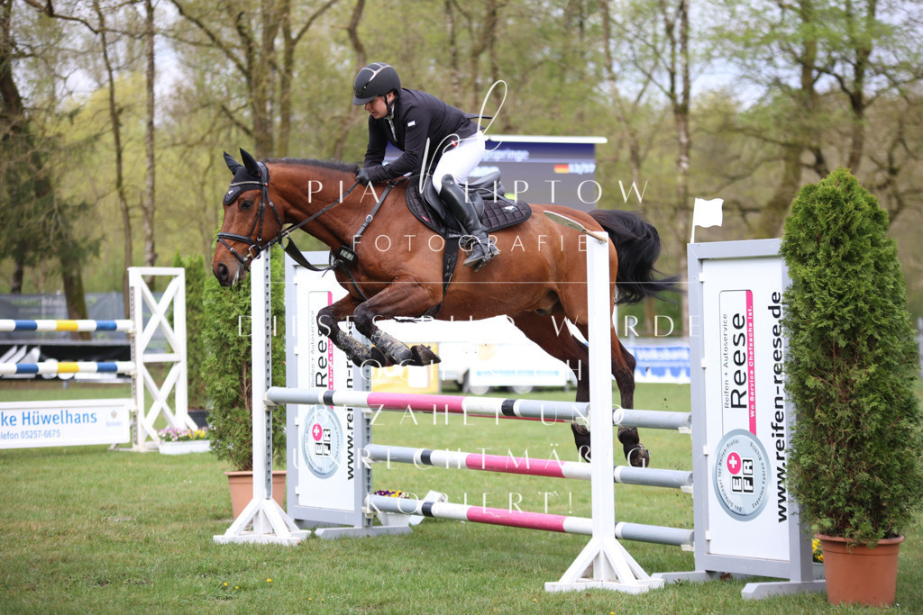 IMGT2871 | pl-fotografie