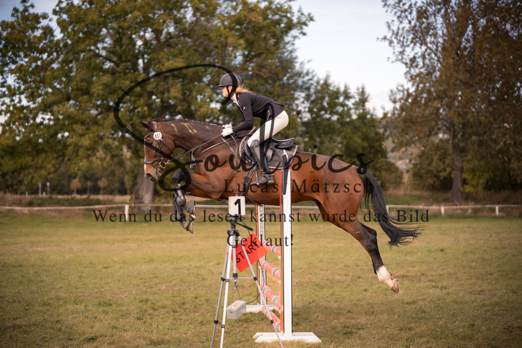 A7V06746 | Pferdefotograf