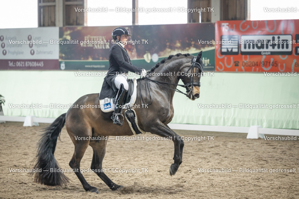 _D5A6084 | Emotionale Pferde- & People-Fotografie rund um Heidelberg, Leimen & Umgebung. Natürliche Fotos von Pferd, Mensch & Familie. Jetzt Termin sichern!