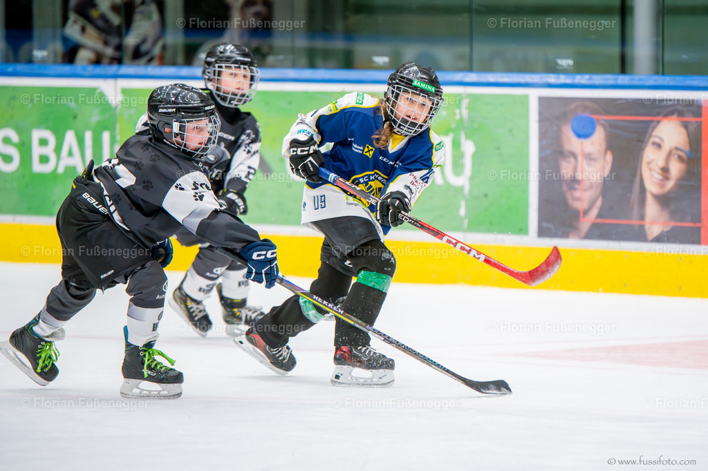 DSC_9455 | "Fussifoto.com – Ihr Ansprechpartner für hochwertige Fotografie! Entdecken Sie kreative Bilder und professionelle Dienstleistungen. Kontaktieren Sie uns für Ihre Projekte!"