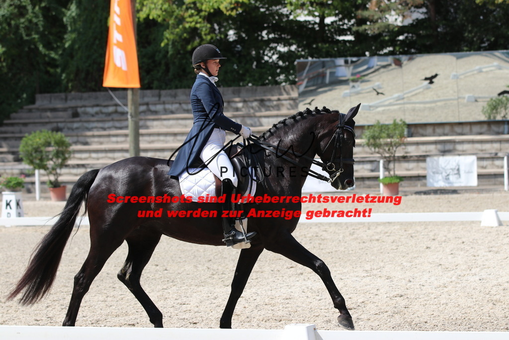 IMG_7042 | lmwpictures - Realisiert mit Pictrs.com