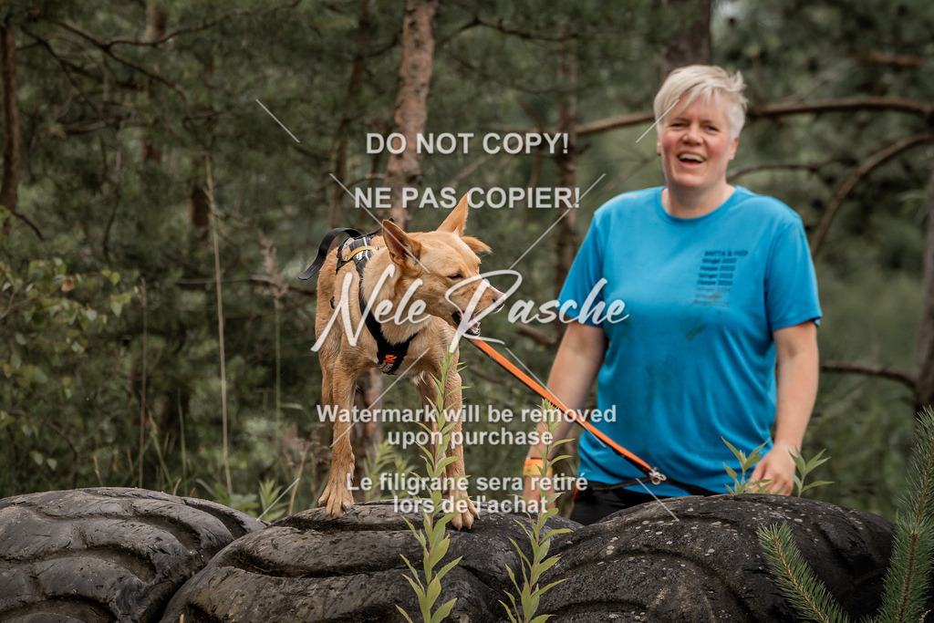 nelerasche_sa0800-1000_145 | nelerasche