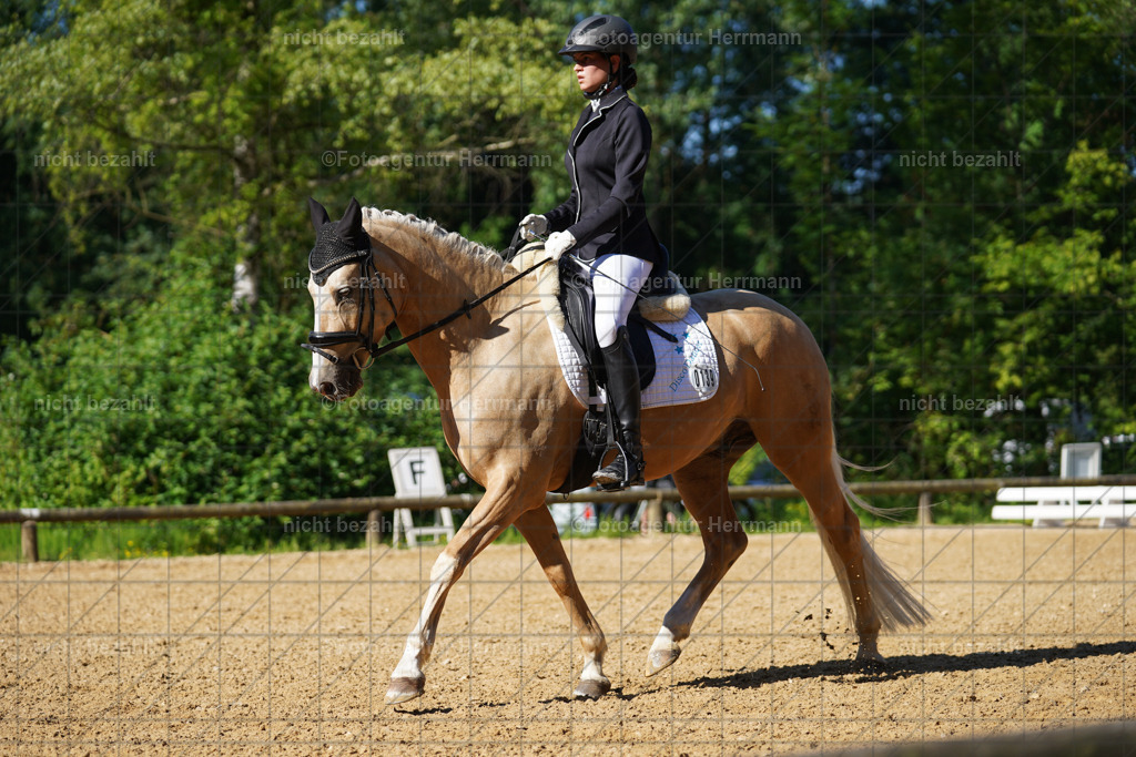 20240706-FAH04507 | Grafing Turnierfotos, Reitverein Ebersberg, Turnierfotografen Bayern, reitsportbilder, Pferdefotograf, reitsportfotograf, Sportbilder, Reitsportfotografie, Fotoagentur Herrmann, Turnierfotograf