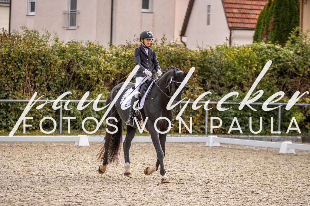 IMG_3162 | Erleben Sie dynamische Sport- und emotionale Tierfotografie in Süddeutschland mit Fotos von Paula. Spezialisiert auf Pferde- und Hundefotografie sowie Sportevents. Kontaktieren Sie mich für einzigartige und ausdrucksstarke Bilder Ihrer besonderen Momente.