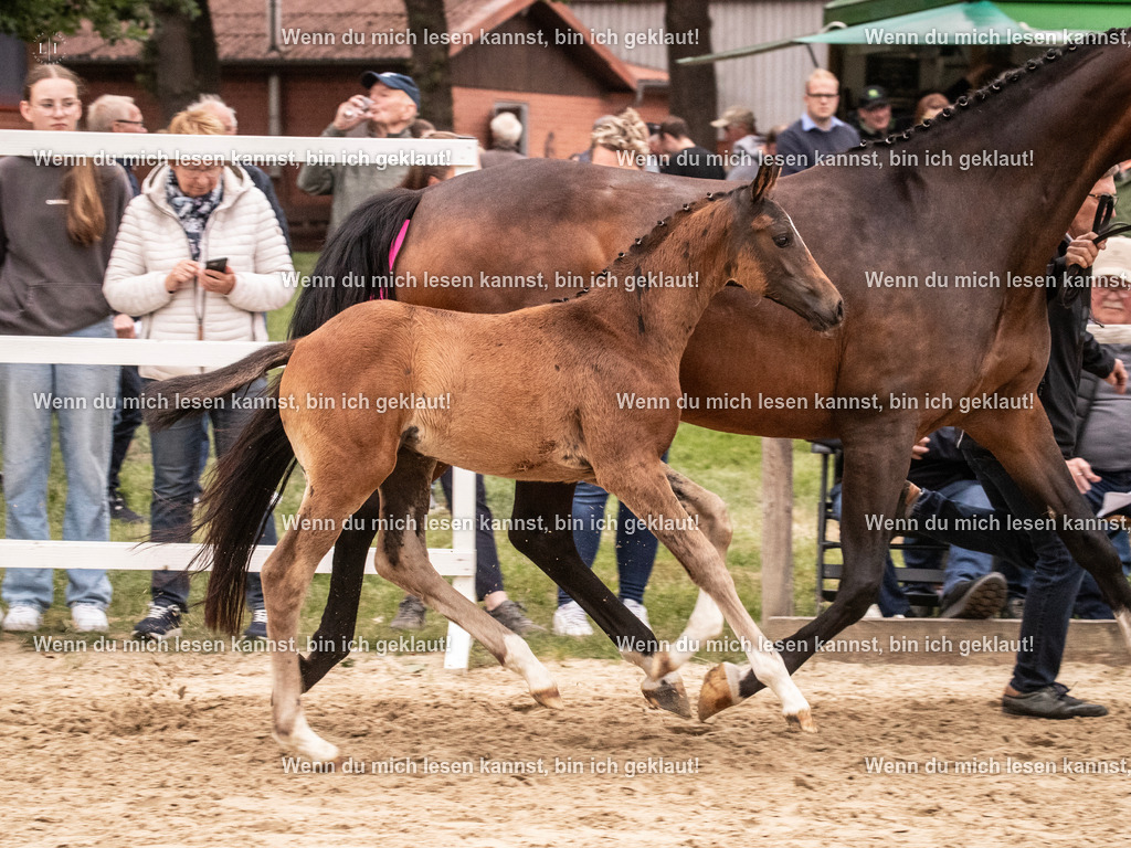 A10I6196 | photographylinaismer - Realisiert mit Pictrs.com