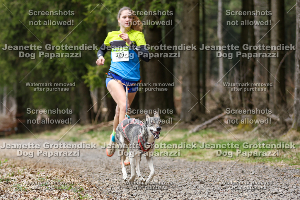 Dog Paparazzi - VCC26-455 | Dog Paparazzi Jeanette Grottendiek Fotografie & Videografie - Realisiert mit Pictrs.com