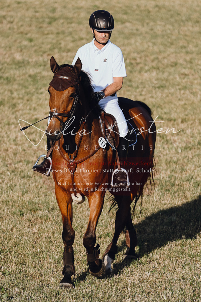 DSC_3260 | Pferde- und Turnierfotografie in Westsachsen. Pferdeportraits, Auftragszeichnungen und intuitive Kunst.