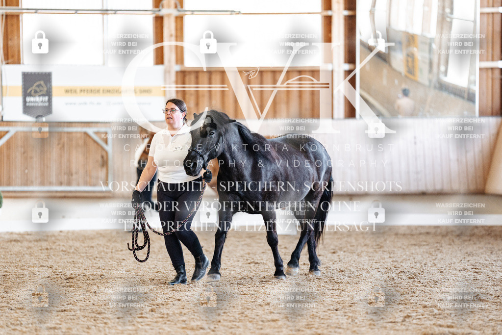CK906497 | Turnierfotografie Pferdefotografie Trier Rheinland-Pfalz Pferdesport Reitsport Tierfotografie Sportfotografie Pferdevideo Pferdevideografie Equestrianvideography equestrianphotography  - Realisiert mit Pictrs.com
