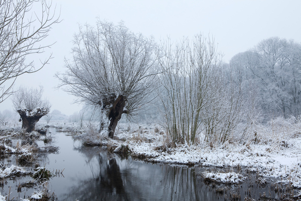 100125-049 | Europa, DEU, Deutschland, Nordrhein Westfalen, NRW, Rheinland, Niederrhein, Krefeld, Naturschutzgebietes Riethbenden, Winter, Schnee, Neuschnee, Morgens, Wasser, Rinne, Typische Kopfweide, Kategorien und Themen, Natur, Umwelt, Landschaft, Jahreszeiten, Stimmungen, Landschaftsfotografie, Landschaften, Landschaftsphoto, Landschaftsphotographie, Wetter, Wetterelemente, Wetterlage, Wetterkunde, Witterung, Witterungsbedingungen, Wettererscheinungen, Meteorologie, Wettervorhersage....[Fuer die Nutzung gelten die jeweils gueltigen Allgemeinen Liefer-und Geschaeftsbedingungen. Nutzung nur gegen Verwendungsmeldung und Nachweis. Download der AGB unter http://www.image-box.com oder werden auf Anfrage zugesendet. Freigabe ist vorher erforderlich. Jede Nutzung des Fotos ist honorarpflichtig gemaess derzeit gueltiger MFM Liste - Kontakt, Uwe Schmid-Fotografie, Duisburg, Tel. (+49).2065.677997, ..archiv@image-box.com, www.image-box.com] - Realisiert mit Pictrs.com