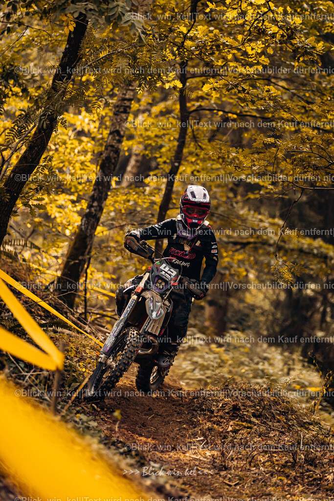 E68A3923 | blick_win_kel