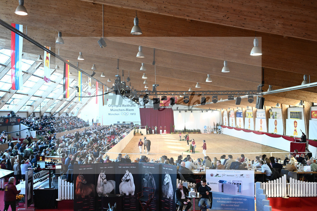 Impressionen Auktion_2243641 | hf-fotografie - Realisiert mit Pictrs.com