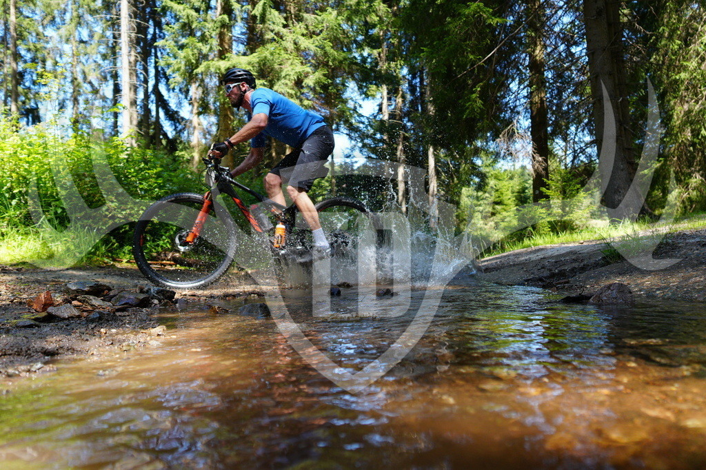 FC604636 | Fotogalerie der Treibjagd im Dunkelwald - Dein MTB Etappenrennen im Erzgebirge - Realisiert mit Pictrs.com