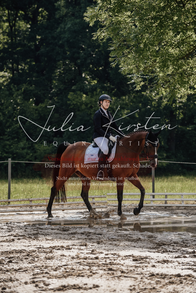 DSC_8986 | Pferde- und Turnierfotografie in Westsachsen. Pferdeportraits, Auftragszeichnungen und intuitive Kunst.