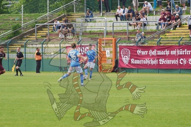 BFC Dynamo vs. FSV 63 Luckenwalde 069 | mythos-online-redaktion