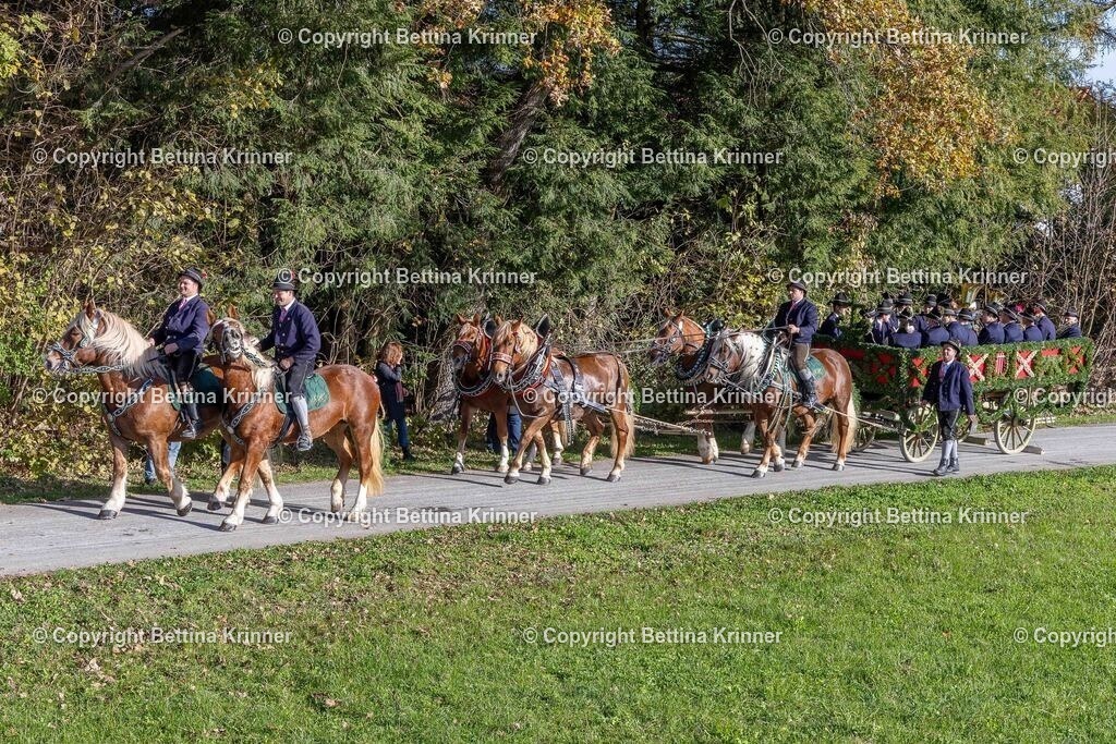 LBT24-282 | foto-bettina-krinner - Realisiert mit Pictrs.com