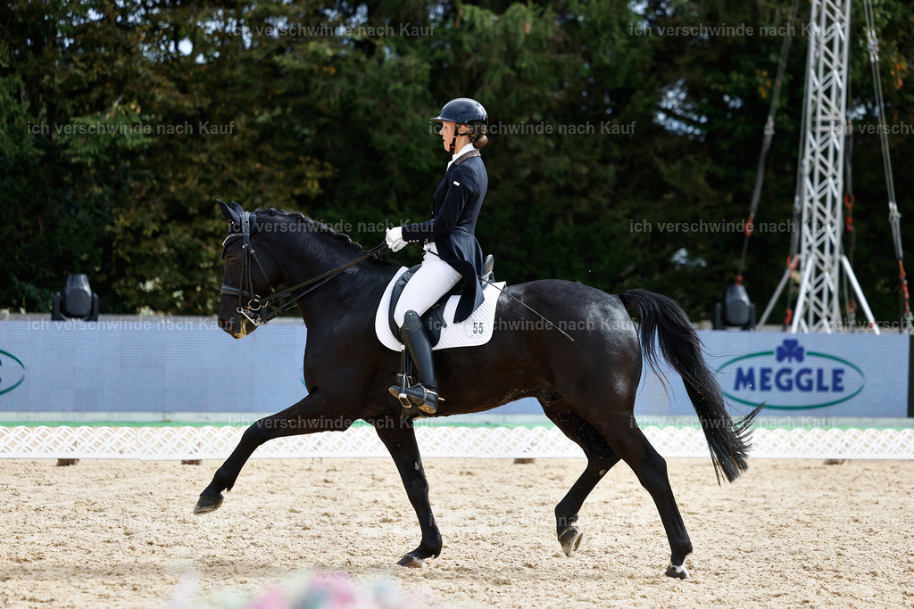 11-055-Dressur S___-StoibPH-1232 | working equitationturnier fotograf videograf stoibphotography marixx film working equitation deutschland reitsport turnierfotografie eventfotografie equestrian events