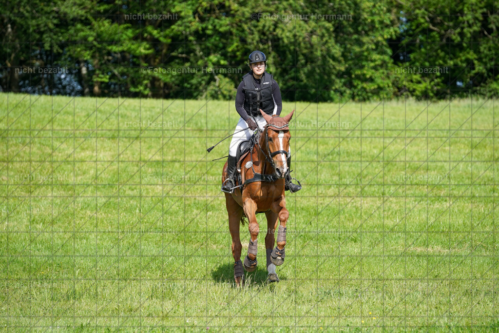 20240518-FAH04124 | Turnierbilder von Niederseon, Turnierfotografen Bayern, Fotoagentur Herrmann, Geländebilder, Reitsportfotografie