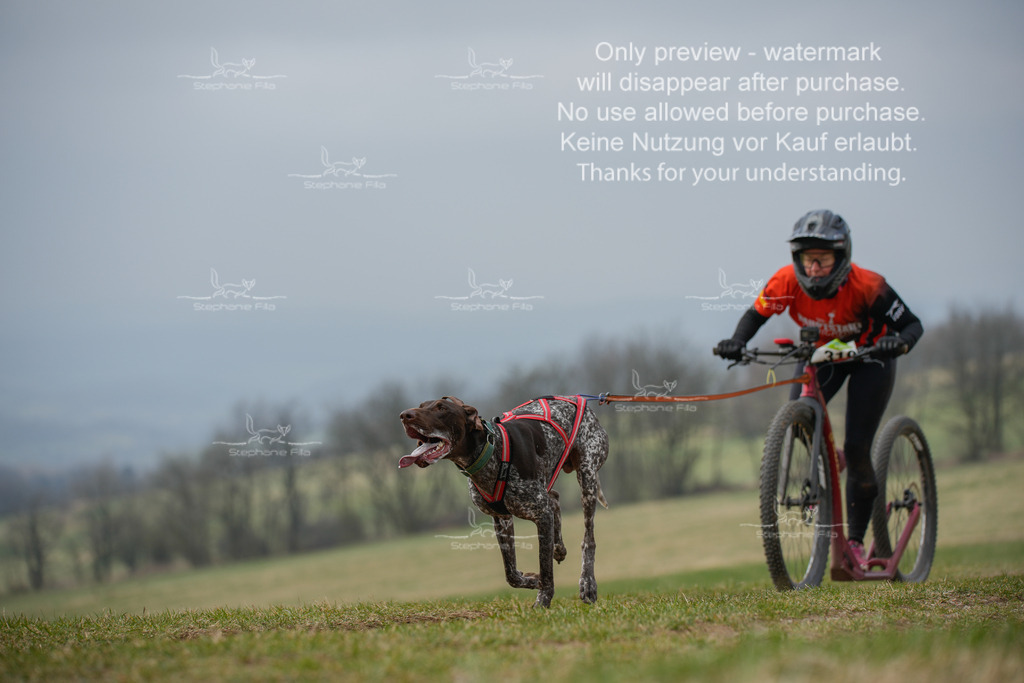 ScooterSA-90 | stephaniefillaphotographie - Realisiert mit Pictrs.com