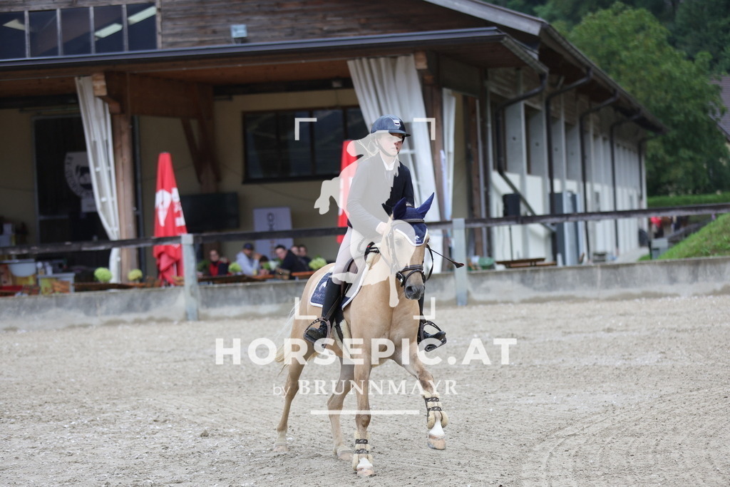 0P6A0062 | Willkommen bei Brunnmayr - Design & Fotografie – Ihrem Spezialisten für Reitturniere und Pferdeveranstaltungen in Oberösterreich, Salzburg und Bayern! Seit über 17 Jahren sind wir leidenschaftlich dabei.