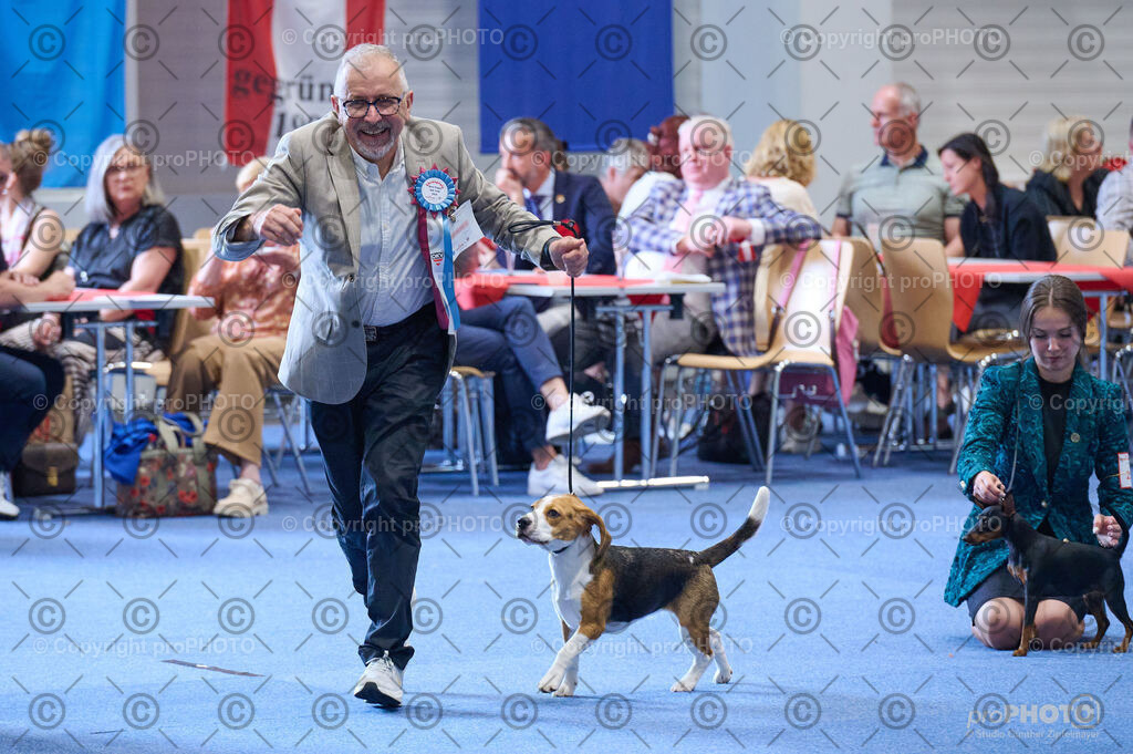 202406_ÖKV-IHA-Tulln24_DSC_4834 | proPHOTO - Realisiert mit Pictrs.com