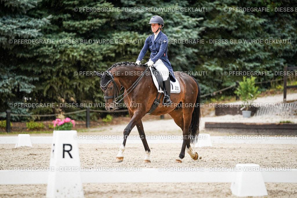 DSC07969 | Pferdegrafie