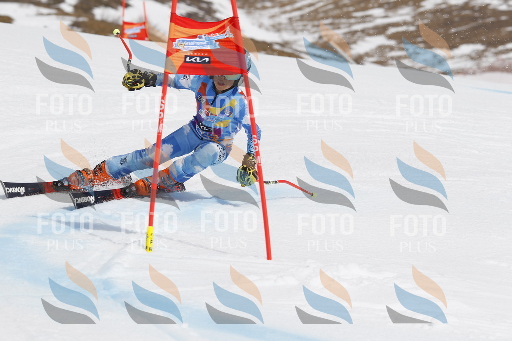 _U3G2504 | holidayphoto