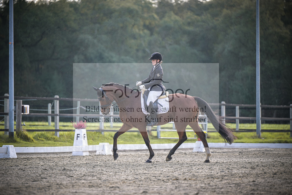 DOS_4975 | Entdecke hochwertige Reitturnierfotos von Foto Oger. Professionell, emotional und authentisch – jetzt Lieblingsmomente im Shop bestellen.Deutschlandweite Turnierfotografie. - Realisiert mit Pictrs.com