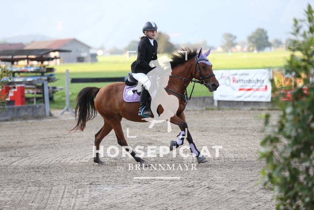 AS8V0190 | Willkommen bei Brunnmayr - Design & Fotografie – Ihrem Spezialisten für Reitturniere und Pferdeveranstaltungen in Oberösterreich, Salzburg und Bayern! Seit über 17 Jahren sind wir leidenschaftlich dabei.