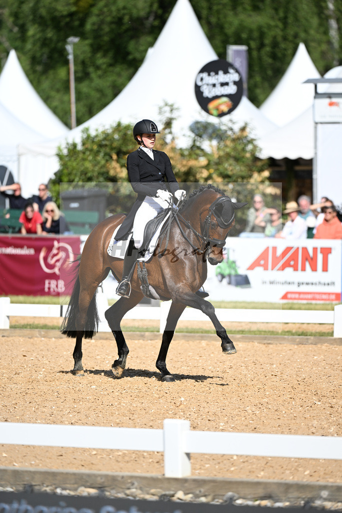 Schuster_Qence L_11252136 | hf-fotografie - Realisiert mit Pictrs.com